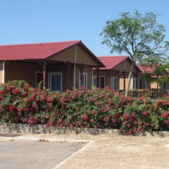 Отель Camping La Rosaleda Испания, Кониль-де-ла-Фронтера - отзывы, цены и фото номеров - забронировать отель Camping La Rosaleda онлайн парковка