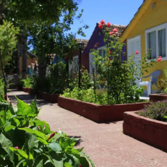 Kuba Beach Hotel Турция, Сиде - отзывы, цены и фото номеров - забронировать отель Kuba Beach Hotel онлайн фото 3