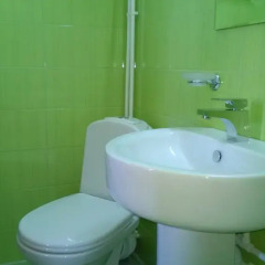 Гостиница Alpic Guest House ванная