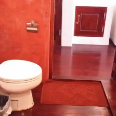 Отель Clear View Resort 3* Бунгало Делюкс с различными типами кроватей фото 11