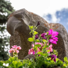 Отель Alpenblick Швейцария, Церматт - отзывы, цены и фото номеров - забронировать отель Alpenblick онлайн фото 3