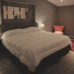 Hotel Platino Expo 3* Полулюкс с различными типами кроватей фото 9