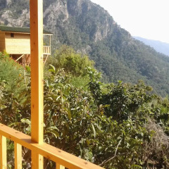 Full Moon Camp Бунгало с различными типами кроватей фото 18
