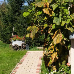 Отель Ferienwohnung Am Elberadweg Германия, Дрезден - отзывы, цены и фото номеров - забронировать отель Ferienwohnung Am Elberadweg онлайн фото 7