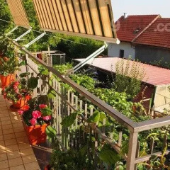 Отель Agriturismo ZÌ Carmine Аджерола балкон