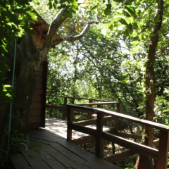 Отель Nature Lodge 2* Бунгало Эконом с различными типами кроватей фото 6