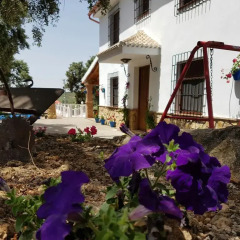 Отель Casa Rural Cabeza Alta Алькаудете фото 2