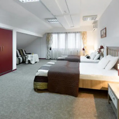 Garni Hotel Villa Family 2* Номер категории Эконом фото 6