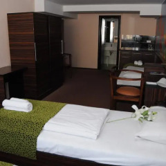 Green Hotel Budapest 4* Улучшенный номер с двуспальной кроватью фото 4