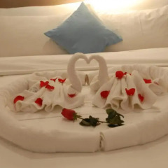Yingshang Fanghao Hotel 3* Представительский номер с различными типами кроватей фото 9