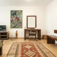 Отель Orient Villa Apartments and Rooms Сербия, Белград - отзывы, цены и фото номеров - забронировать отель Orient Villa Apartments and Rooms онлайн комната для гостей фото 2