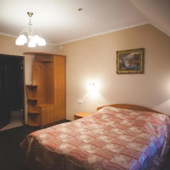 VIP Hotel Стандартный номер двуспальная кровать фото 3