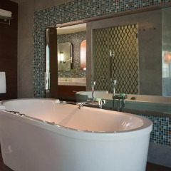 Renaissance Izmir Hotel 5* Номер Делюкс с различными типами кроватей