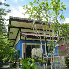 Отель Ya Teng Homestay 2* Стандартный номер с различными типами кроватей фото 15