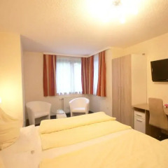 Altmann Hotel 3* Стандартный номер фото 7