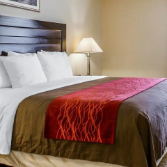 Отель Comfort Inn Monterey Park 3* Стандартный номер фото 4