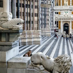 Отель Appartamento San Lorenzo Cattedrale Генуя фото 3