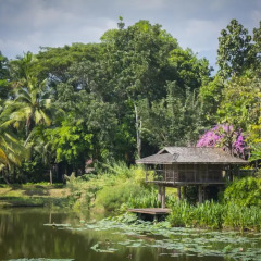 Отель Four Seasons Resort Chiang Mai 5* Стандартный номер с различными типами кроватей фото 4