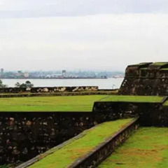 Отель Albert Fort