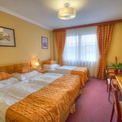 Wellness Hotel Step 4* Стандартный номер с разными типами кроватей фото 6