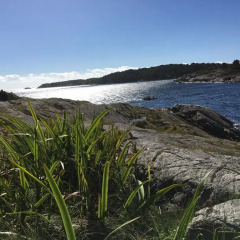 Отель Kristiansand Feriesenter Кристиансанд приотельная территория