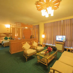 Green Hotel 4* Представительский люкс с различными типами кроватей фото 3