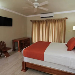 Отель Oasis Resort комната для гостей фото 4