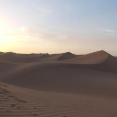 Отель Bivouac Draa Марокко, Загора - отзывы, цены и фото номеров - забронировать отель Bivouac Draa онлайн приотельная территория фото 2