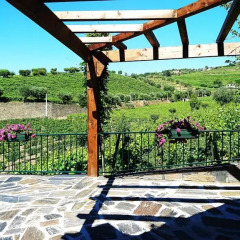 Отель Douro Valley - Casa Vale do Douro Португалия, Ламего - отзывы, цены и фото номеров - забронировать отель Douro Valley - Casa Vale do Douro онлайн с домашними животными