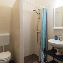 Отель Downtown Oasis Guesthouse Стандартный номер с различными типами кроватей фото 9