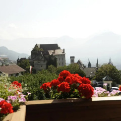 Отель Erzherzog Johann 4* Стандартный номер