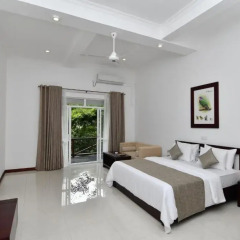 Hotel Tree of Life 4* Номер Делюкс с различными типами кроватей фото 2