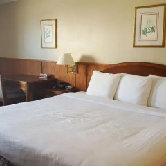 Отель Sutton Park Inn комната для гостей фото 4
