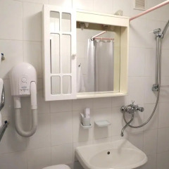 Гостиница Парк 3* Полулюкс с разными типами кроватей фото 15