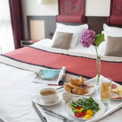 Rubin Wellness & Conference Hotel в номере фото 2