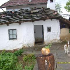 Отель Country House Dryanovo Боженци фото 3