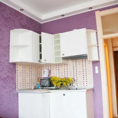 Апартаменты Apartment Svetlana Апартаменты с различными типами кроватей фото 47