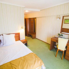 SPA Hotel Borova Gora 4* Стандартный номер с различными типами кроватей