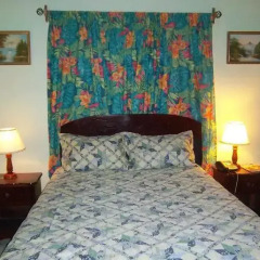 Отель Tropical Court Resort Near Montego Bay Airport 3* Стандартный номер с различными типами кроватей фото 4