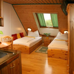 Hotel Asperner Löwe 3* Стандартный номер
