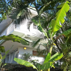 Отель Fare Suisse Tahiti Французская Полинезия, Папеэте - отзывы, цены и фото номеров - забронировать отель Fare Suisse Tahiti онлайн фото 2