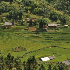 Отель Sapa Eden Hotel Вьетнам, Шапа - 1 отзыв об отеле, цены и фото номеров - забронировать отель Sapa Eden Hotel онлайн фото 4