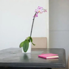 Отель Sunny Lisbon - Guesthouse and Residence 3* Стандартный номер с различными типами кроватей фото 7