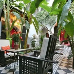 Отель Riad Darmouassine Марокко, Марракеш - отзывы, цены и фото номеров - забронировать отель Riad Darmouassine онлайн фото 7