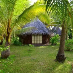 Отель Blue Heaven Island Французская Полинезия, Бора-Бора - отзывы, цены и фото номеров - забронировать отель Blue Heaven Island онлайн фото 3