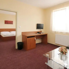 Hotel Olympionik 3* Стандартный номер фото 9