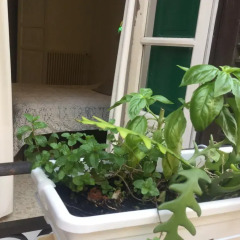 Отель B&B Incipit балкон