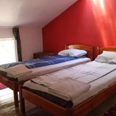 Gramophone Hostel Стандартный номер с различными типами кроватей фото 4