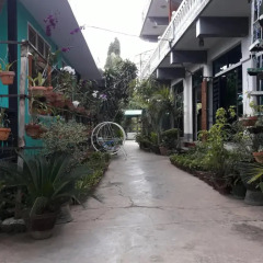 Gold Star Hotel фото 3