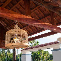 Отель Anh Nhung Guesthouse